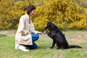 Puppy Hotel Kingwood, TX friendly staff care